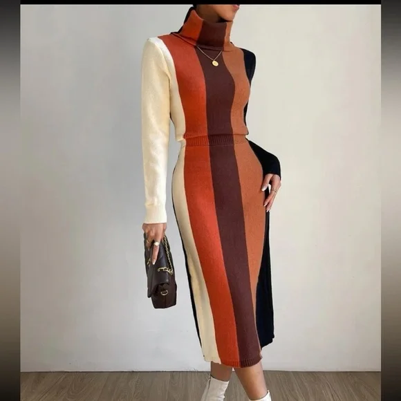 NWOT Privé Color Block Turtleneck Sweater Dress - Picture 5 of 6